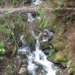 Rada NP se nedohodla na podobě nových Zásad péče o Národní park Šumava 