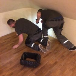 Renovace podlah, tedy parketové nebo dřevěné podlahy