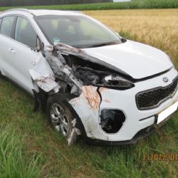 Řidiči vběhlo do jízdní dráhy divoké prase