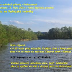 Rokycanští ochránci přírody se vydají na Kařezské rybníky