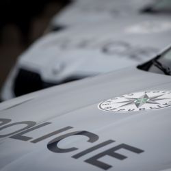 S komplicem kradl na Klatovsku, chytili ho u Rabí 