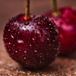Sady v Nebílovech hlásí zájem o samosběr třešní