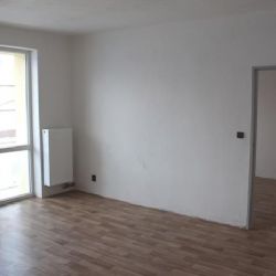 Sbírka Pomáhající Plzeň poskytla na zajištění bydlení dalších 115 tisíc 