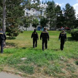 Se sekerou přepadli hernu v Holýšově, policisté je chytili