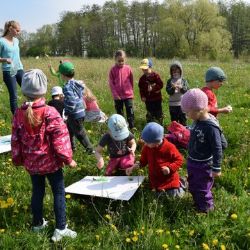 Skutečně zdravá škola vyzývá k obnově školních zahrad. Organizuje Týden s prarodiči