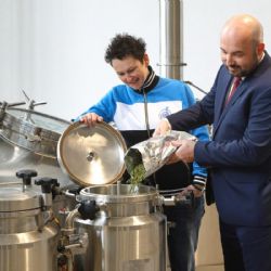 Slavnosti svobody v Plzni budou mít své pivo, ponese název Veterán 