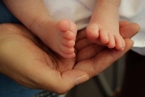 Foto: Sobotní plzeňský kongres porodních asistentek přinese zajímavá témata