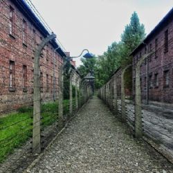 Spolek chystá pamětní desku pro plzeňskou židovku Věru Kohnovou