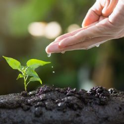 Sport i environmentální vzdělávání. Rada kraje schválila vyhlášení dotačních titulů