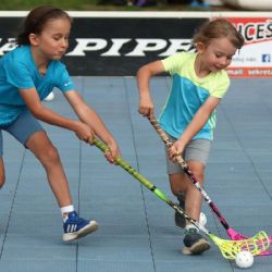 Sportmanie Plzeň o víkendu vrcholí