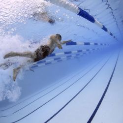 Sportovní reprezentanty odmění Plzeň finančními dary  
