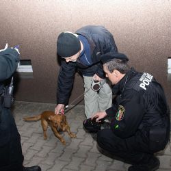 Starosta plzeňské trojky se strážníky kontroloval majitele psů
