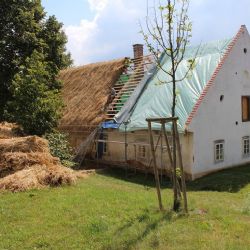 Statek U Matoušů získává doškovou střechu