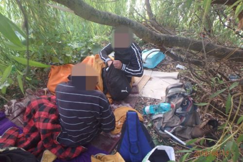 Foto: Strážníci v Plzni nutí bezdomovce k úklidu