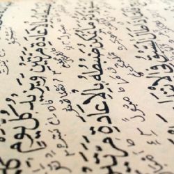 Studenti Západočeské univerzity se budou učit arabštinu v Súdánu