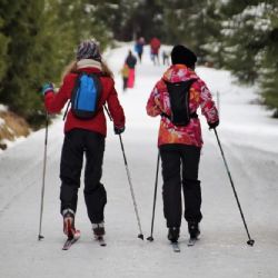 Šumava chystá terén a peníze na úpravu běžeckých tratí