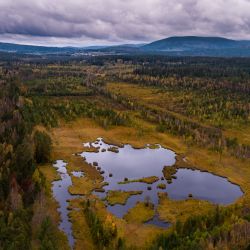 Šumava letos ve znamení vody – rok 2022 je Rokem mokřadů