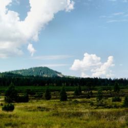 Šumavský park vrací do přírody vodu