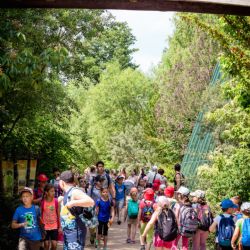Téměř stoletá ZOO Plzeň je modernější díky ROP Jihozápad
