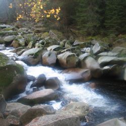 Turisté na Šumavě jsou agresivnější, strážci mají kamery