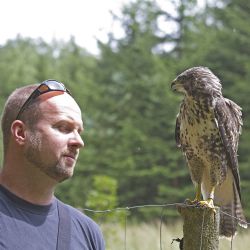 Týden zvířecích záchranářů: Okřídlený fantom sejmul dalšího běžce