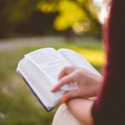 U Branky se bude v pátek číst Bible