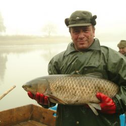 U Košináře začíná v pondělí prodej stromků, následovat budou kapři