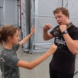 V hale v Cerhovicích odchytávali zvířecí záchranáři krahujce