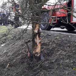 V Kozolupech řidič narazil do stromu