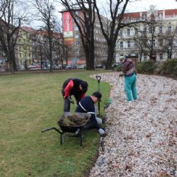V plzeňském centrálním obvodu proběhla kontrola podzimních výhrabových prací
