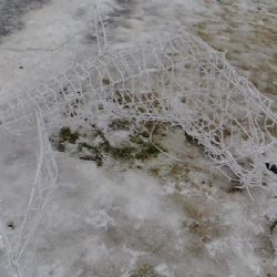 V Plzeňském kraji řádí vánoční vandalové