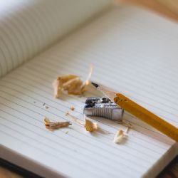 V Plzeňském kraji získává na oblibě domácí vzdělávání