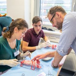 V Plzni probíhá letní škola experimentální chirurgie