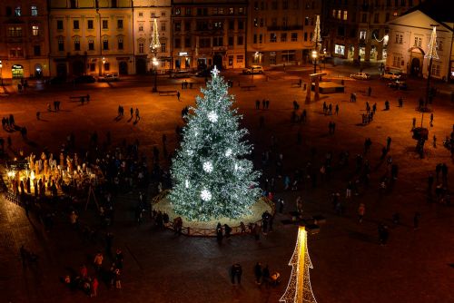 Foto: V Plzni už září vánoční strom na náměstí Republiky
