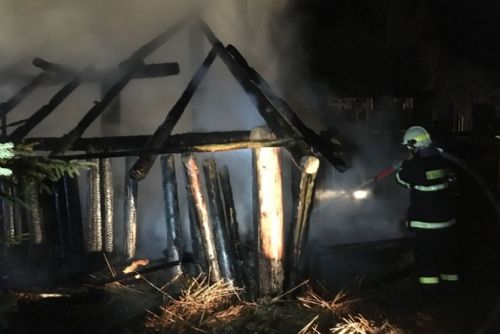 Foto: V šumavských Prášilech v pátek večer hořel keltský archeopark, škoda půl milionu