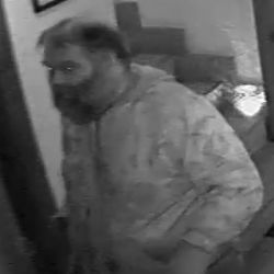 V restauraci v Plzni ukradl kasírku. Pomůžete policii?