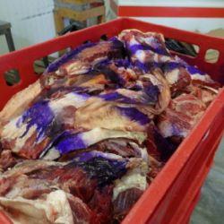 V řeznictví v Chotěšově našli 800 kg masa neznámého původu