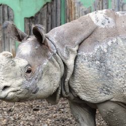 V ZOO se slavilo