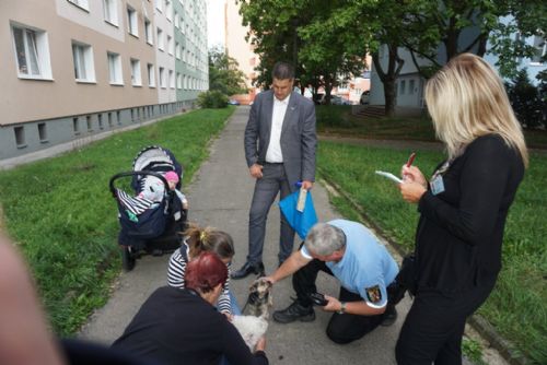 Foto: Ve Skvrňanech se dohlíželo na dodržování povinností majitelů psů