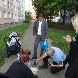 Ve Skvrňanech se dohlíželo na dodržování povinností majitelů psů