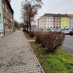 Vegetační klid využívají v Plzni k úpravě keřů, řezy čekají i stromy 