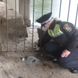 Více než 410 strážníků z 30 měst včetně Plzně se v úterý zapojí do akce Jehla