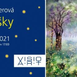 Visio Art Gallery vystavuje Světlušky Daniely Kučerové 