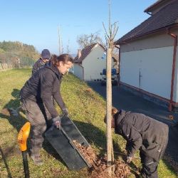 V Podmoklech vysadili ovocné stromy a keře. Pomohla Nadace ČEZ