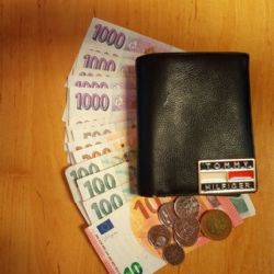 Vrácená peněženka s devíti tisíci potěšila v Plzni majitele