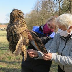Výřici od potoka Třemošná čeká amputace křídla