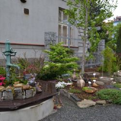 Výstava Alpinum Plzeň zve už od středy