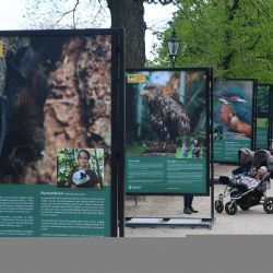 Výstava v sadech mapuje 30 let zvířecích záchranářů