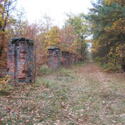 Výstava Zlatý věk obor představí na Kozlu od středy historii obornictví v Čechách