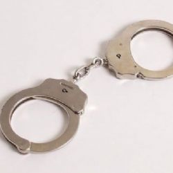 Výtržník na Domažlicku kradl a také skákal po autě